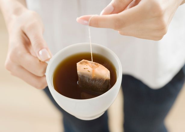 Can you put tea bags in boiling water?