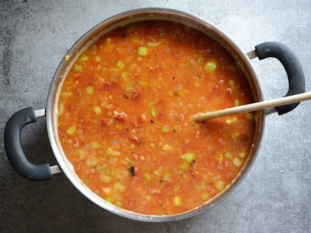 Lentils, ingredients and Broth Simmer in pan 