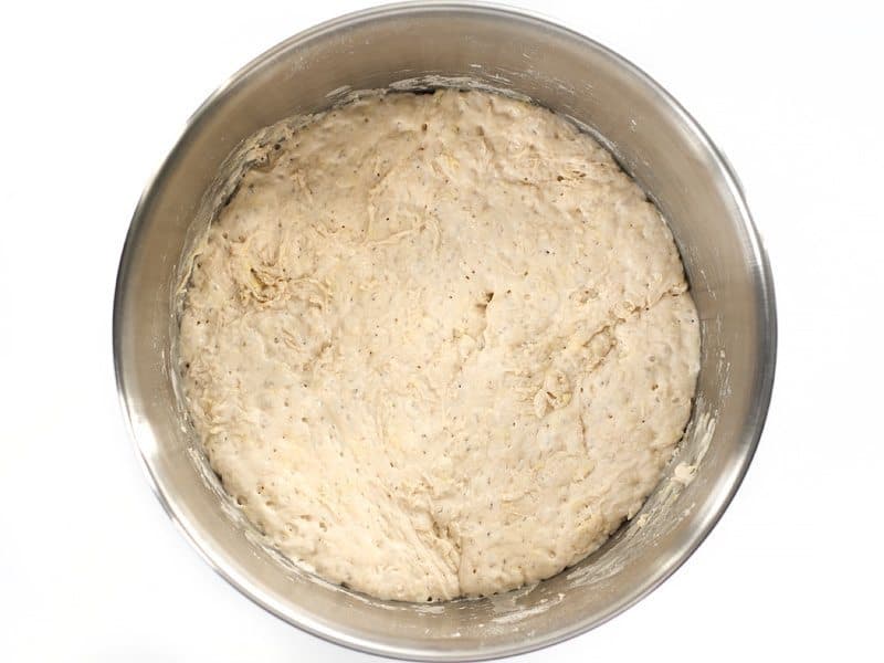 Fermented Dough