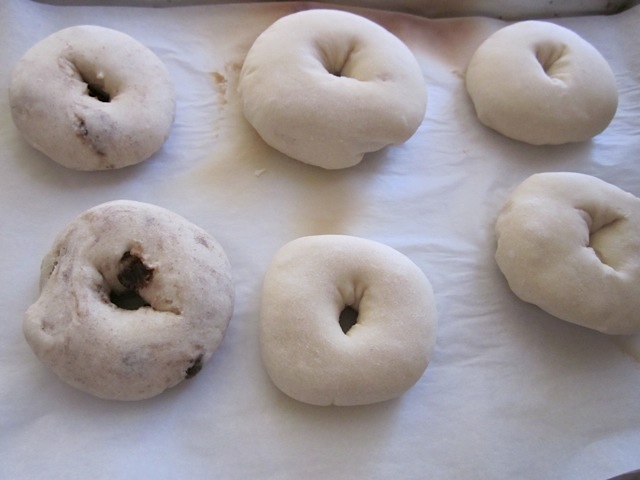 bagels ready to boil 