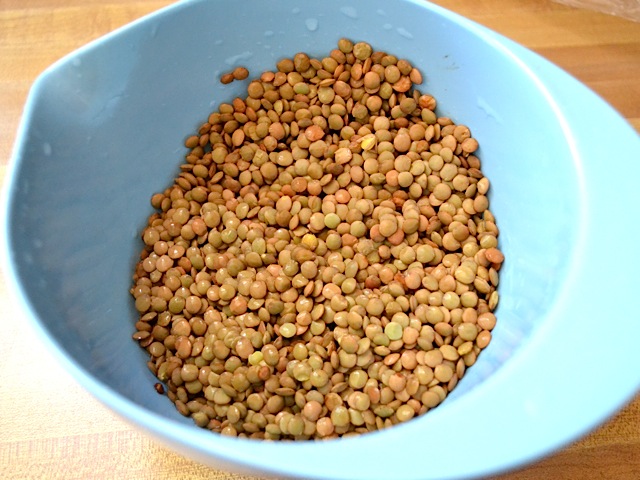 sorted and rinsed lentils in bowl 