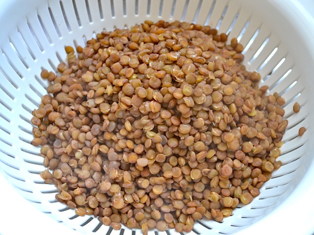 draining lentils in colander 